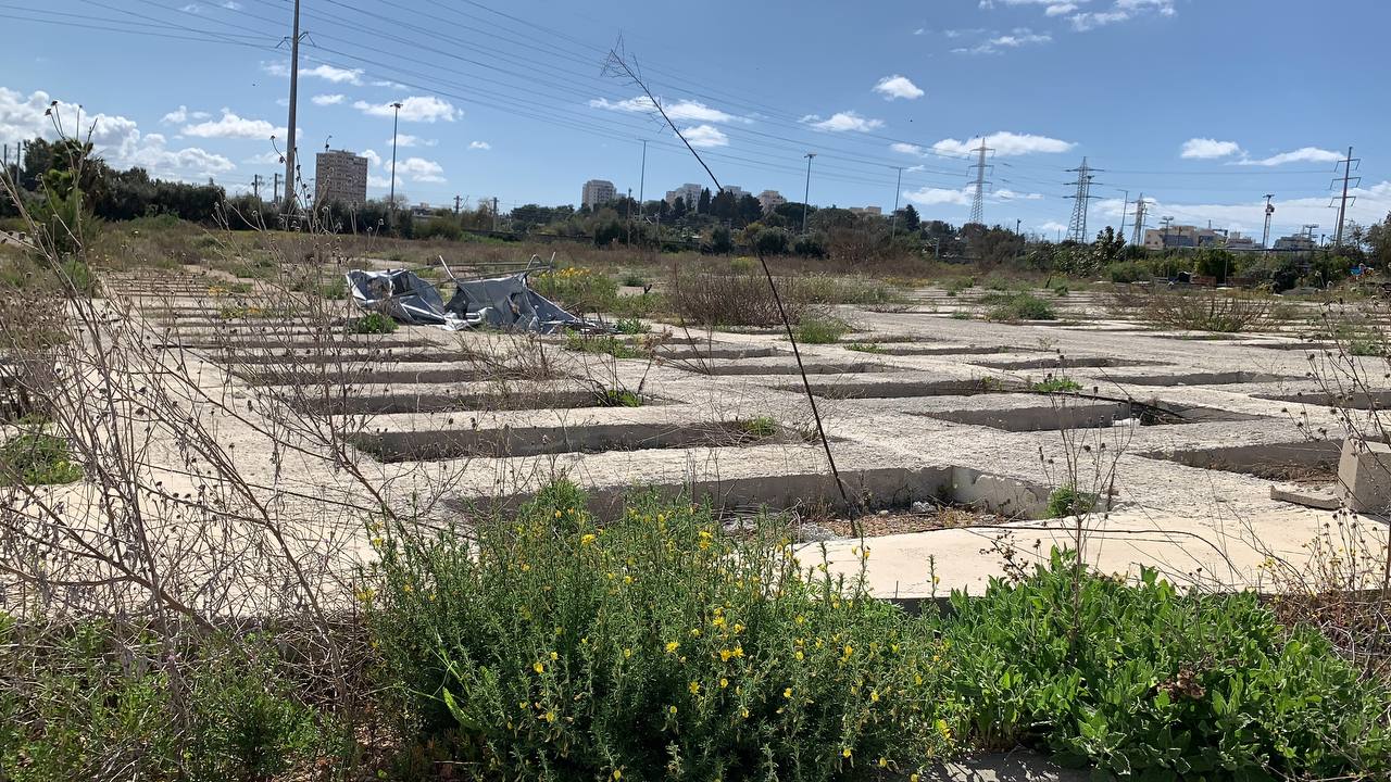 photo1678276195 (22).jpeg